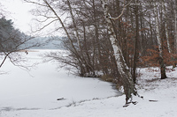Klicken Sie das Vorschaubild an, um das Foto in h�herer Aufl�sung zu sehen...