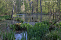 Klicken Sie das Vorschaubild an, um das Foto in h�herer Aufl�sung zu sehen...