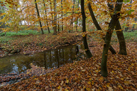 Klicken Sie das Vorschaubild an, um das Foto in h�herer Aufl�sung zu sehen...