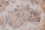 Baumdetails