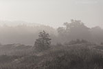 Binnendne