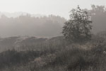 Binnendne