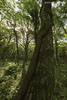 Bornholm