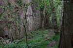 Bornholm