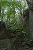 Bornholm