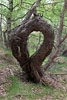 Bornholm