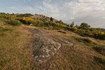 Bornholm