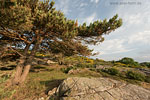 Bornholm