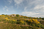 Bornholm