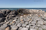Bornholm