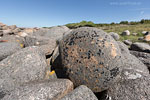Bornholm