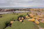 Bornholm