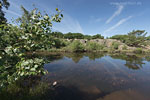 Bornholm