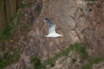 Bornholm