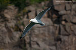 Bornholm