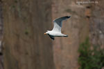Bornholm