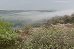 Bornholm