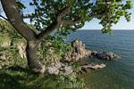 Bornholm