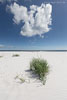 Bornholm