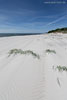 Bornholm