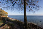 Brodtener Steilufer