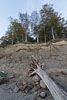 Brodtener Steilufer