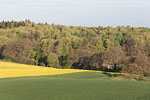 Bungsberg
