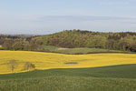 Bungsberg