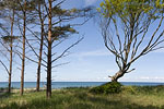 Ostsee-Inseln Norddeutschland