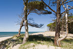 Ostsee-Inseln Norddeutschland