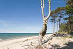 Ostsee-Inseln Norddeutschland