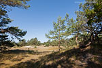 Ostsee-Inseln Norddeutschland