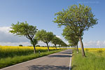 Ostsee-Inseln Norddeutschland