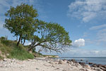 Ostsee-Inseln Norddeutschland