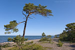Gotland und Fr