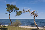 Gotland und Fr