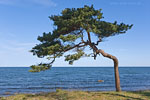 Gotland und Fr