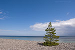 Gotland und Fr