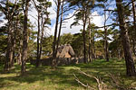 Gotland und Fr