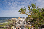 Gotland und Fr