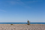 Gotland und Fr