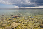 Gotland und Fr