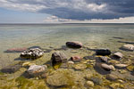Gotland und Fr