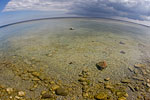 Gotland und Fr