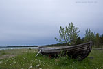 Gotland und Fr