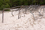 Gotland und Fr