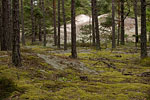 Gotland und Fr