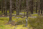 Gotland und Fr