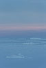 Grnland im Winter