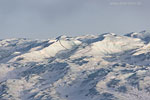 Grnland im Winter